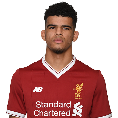 Dominic Solanke Player Profile and his journey to Livepool FC ...